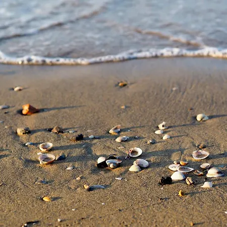 Appartamento In 38306 Bibione