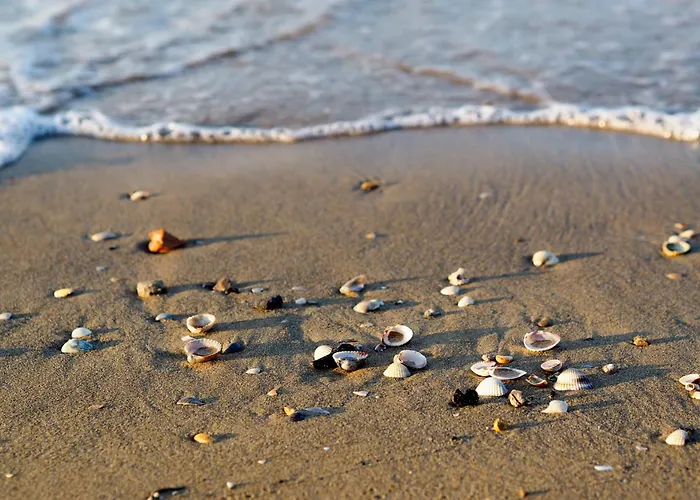 Apartment In 38306 Bibione